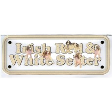 Irish Red  and White Setter